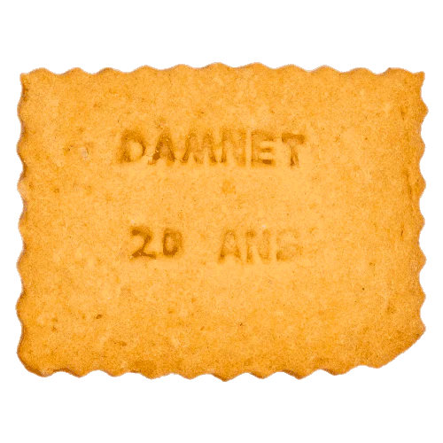 Petit beurre personnalisé pour un anniversaire d'une entreprise - 20 ans Damnet